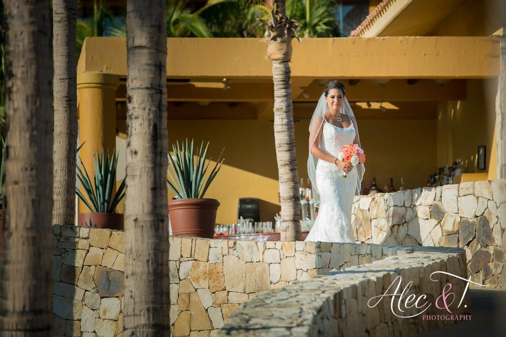 Best Cabo Wedding Packages