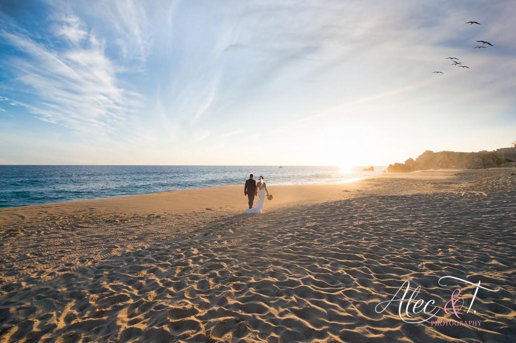 Best Baja Wedding Pictures