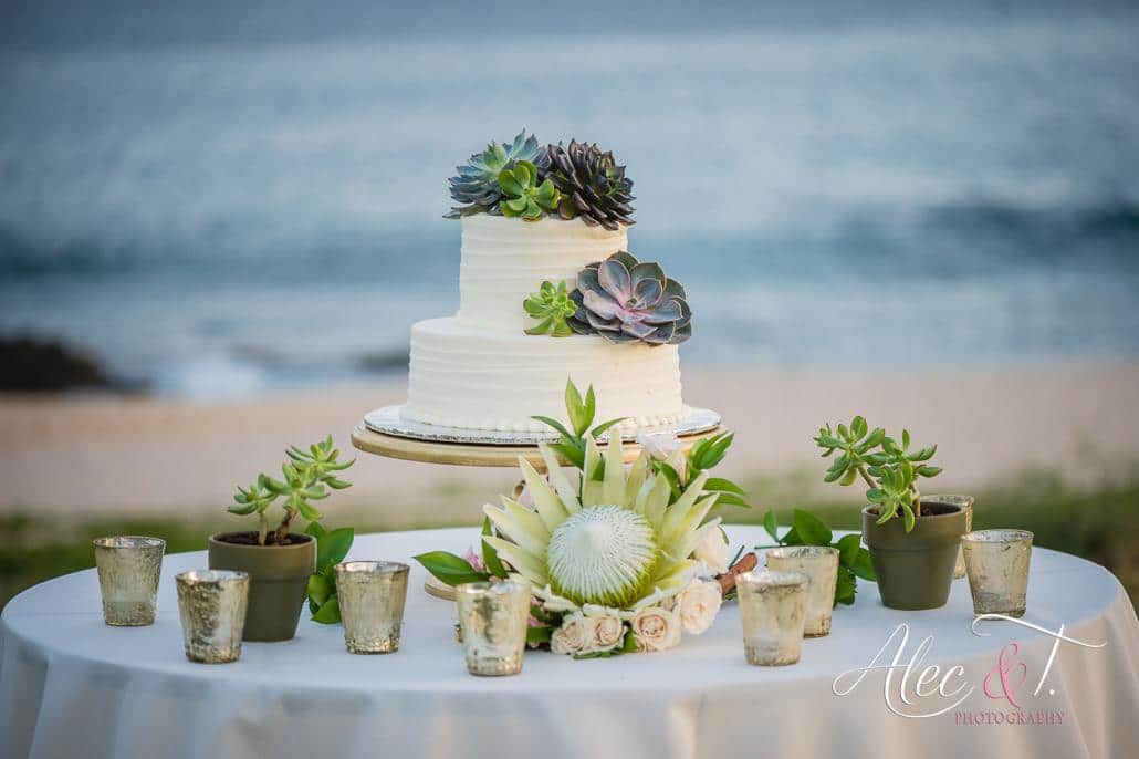 Cabo Wedding Cake