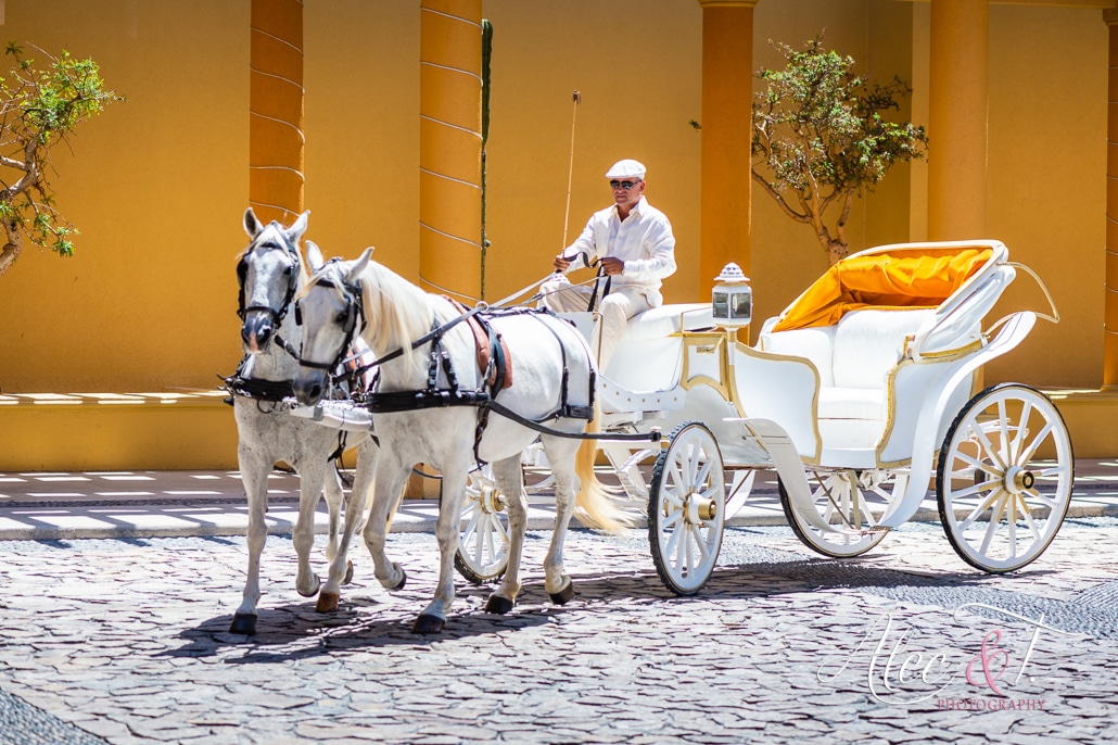 Cabo Wedding Carriage